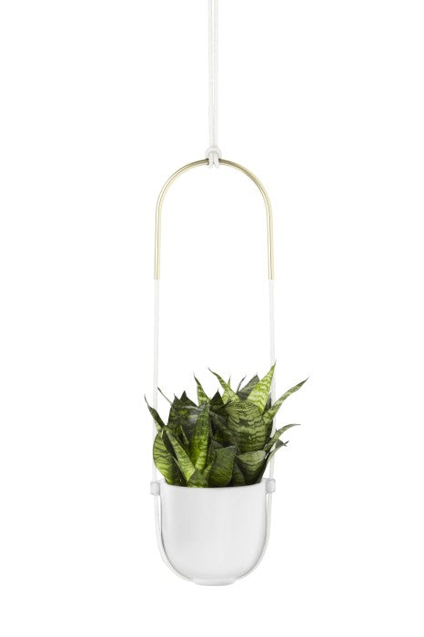 UMBRA Blumenwand hängend BOLO Weiß