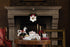 VILLEROY & BOCH Schüssel Stern Gingerbread Town Winter Bakery Delight M