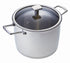 MONETA Hoher Topf mit Deckel Accordo Induktion 22 cm