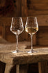 VILLEROY & BOCH Weißweinglas Toy's Delight 2 Stk.