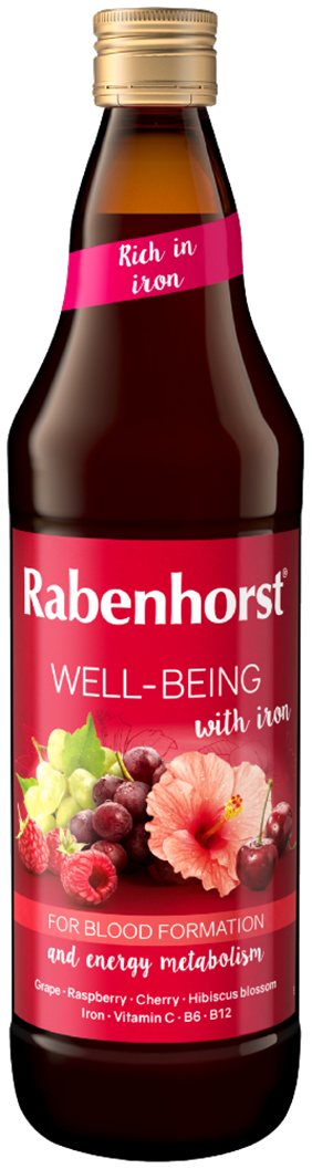 MEHRFRUCHTSAFT MIT EISEN UND VITAMINEN C, B6, B12 750 ml - RABENHORST