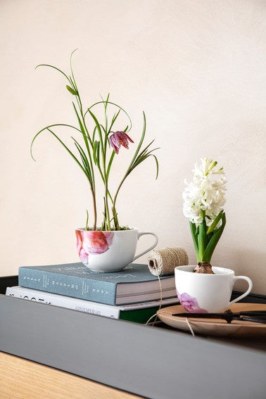 VILLEROY & BOCH FrühstücksTasse Rose Garden