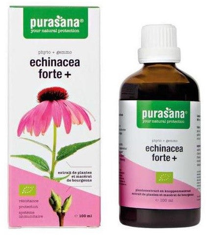 LILA ECHINACEA (ECHINACEA FORTE) BIO-TROPFEN 100 ml - PURASANA