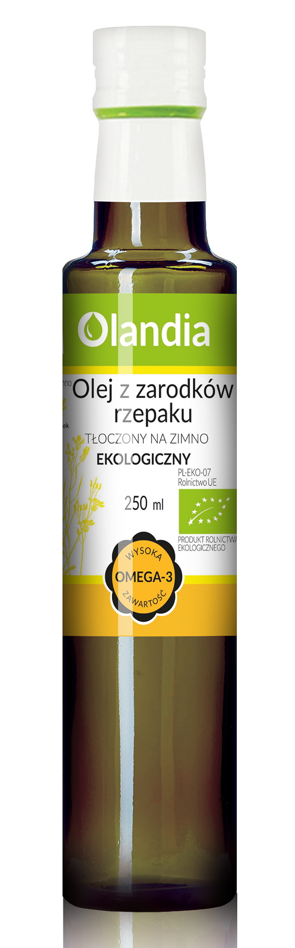KALTGEPRESSTES RAPS-EDELSTEINÖL, BIO, 250 ml – OLANDIA