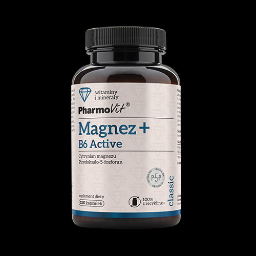 MAGNESIUM + VITAMIN B6 ACTIV GLUTENFREI 120 KAPSELN - PHARMOVIT (KLASSISCH)
