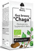 BIRKE BUMP CHAGA BIO (470 mg) 60 KAPSELN – GESCHENKE DER NATUR