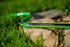CELLFAST GREEN ATS2 GARTENSCHLAUCHGRÖSSE: 5/8" LÄNGE: 50m