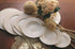 VILLEROY & BOCH Salatschüssel Ivoire 22cm