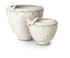 VILLEROY & BOCH Vase S Colorful Spring