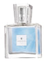 AVON - Avon Perceive Eau de Parfum 100 ml