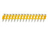 DEWALT NAILS DCN890 STD 2,6 x 45 mm / 510 Stk.