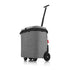 REISENTHEL Einkaufstrolley CARRYCRUISER ISO FRAME twist silver